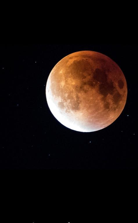 Luna Costinesti Buitenkant foto
