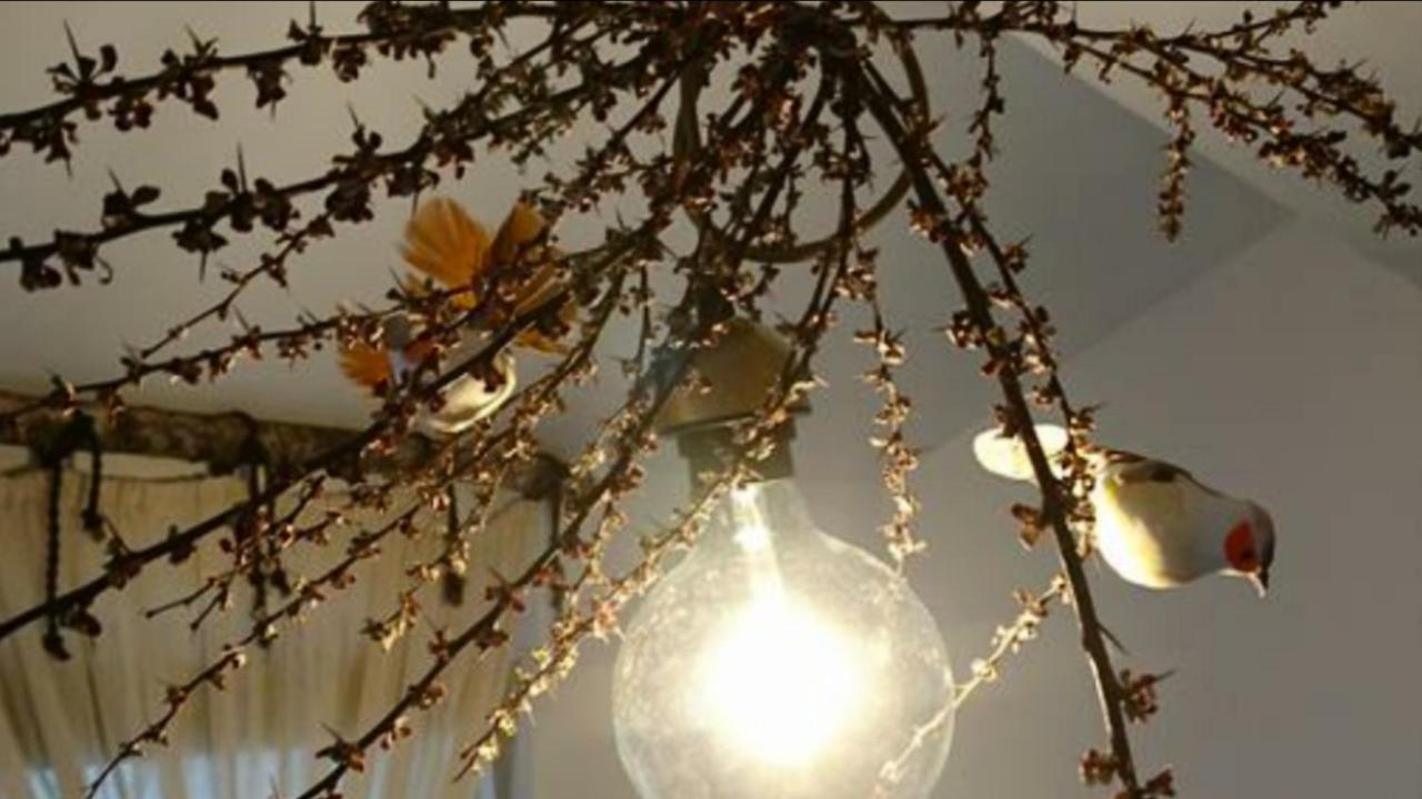 Luna Costinesti Buitenkant foto
